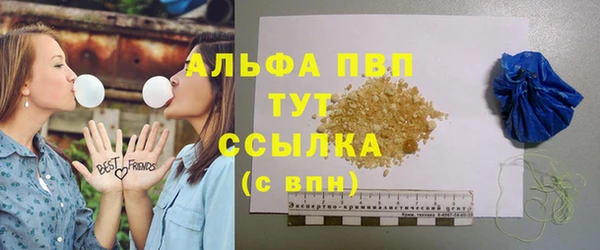 индика Аркадак