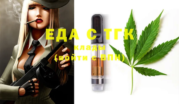 индика Аркадак