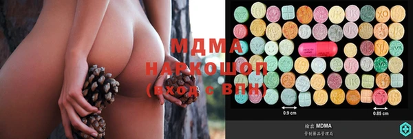 индика Аркадак