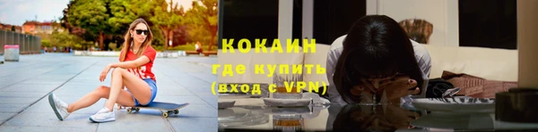 индика Аркадак