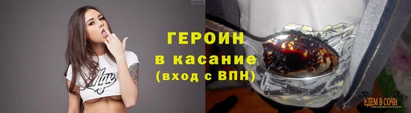 индика Аркадак