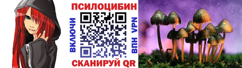 Галлюциногенные грибы Psilocybe  Инта 